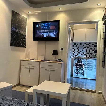 Dandelion Apartment